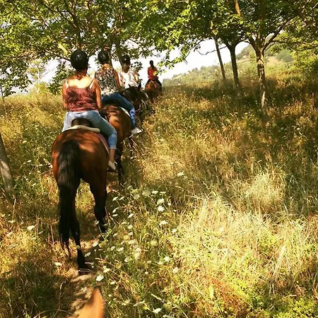 公寓 Villaladiva Boutique Glamping Massignano