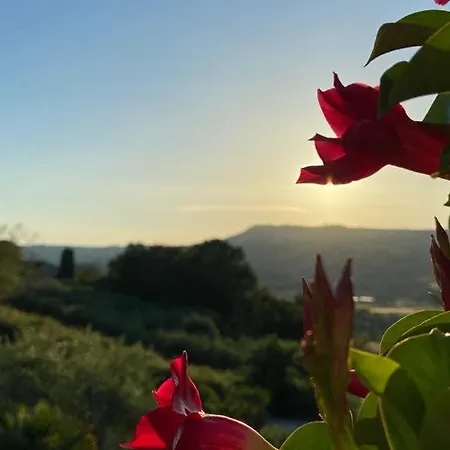 Villaladiva Boutique Glamping Apartament *